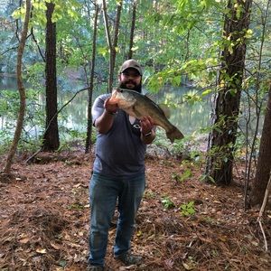 Meet your Posher, Garrett